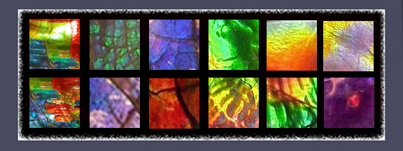 Ammolite Displaying Distinct Pattterns and Colour Zones